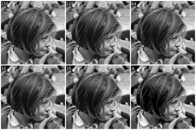 The same image with differing levels of grayscale.