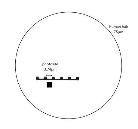comparison of human hair and photosite