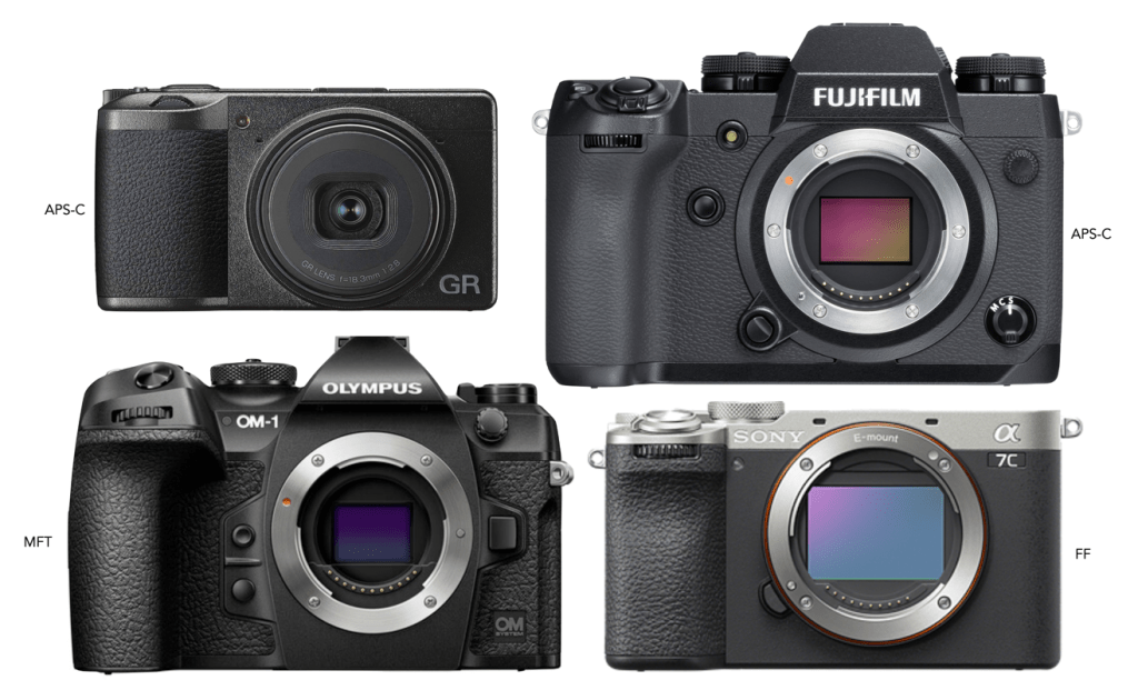 Image showing all APS-C, micro-four thirds and full-frame cameras.
Sensor equality