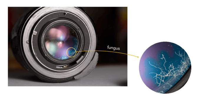 lens separation | Crafting Pixels